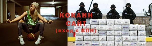 мдпв Кодинск