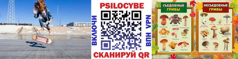 Псилоцибиновые грибы GOLDEN TEACHER  Купить  Тамбов 